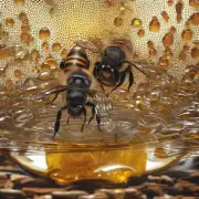 哇哦太棒了你制作的蜂蜜亮蜜有哪些特色呢?