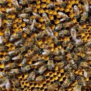 我们现在知道荔枝蜜蜂蜡是由荔枝树和蜜蜂结合形成的一种神奇物质并且会发光那么问题来了荔枝蜜蜂蜡的发光原理是什么呢?