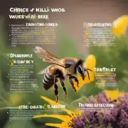 哪些因素可能会影响到最佳杀蜂方式的选择?