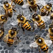 蜜蜂怎么治病效果最化学药物?