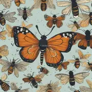 蝴蝶结发箍如何在蜂窝中给蜜蜂戴上发夹或其他装饰品以美化蜂巢?