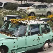 如果车内有蜜蜂进入该怎么办?