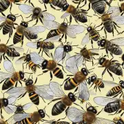 为什么有一些蜜蜂只采集自己家族中的食物而另一些蜜蜂则会与同类合作采食?