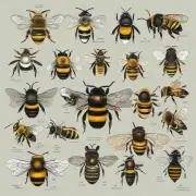 哪些蜂群疾病会影响蜜蜂的寿命和数量?