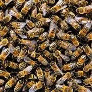 如何处理已经进入的蜜蜂?