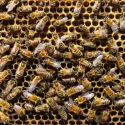 我们能够理解为什么蜜蜂会在工作期间重复失败吗?