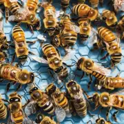 有哪些方法可以防止或减少毒蜂增多的现象? 问题一有毒蜜蜂与无毒蜜蜂的区别是什么?