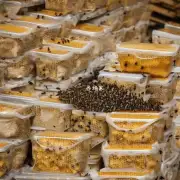 蜜蜂如何通过蜜囊存储能量并在不同季节调整储备量的多少?