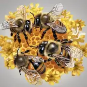 蜜蜂有怎样的社会组织方式?