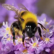 不说话勤劳蜜蜂如何使用颜色进行画法使画面更加生动真实感更强吗?