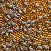 为什么蜜蜂会在蜂箱内形成一些特殊的群体结构?