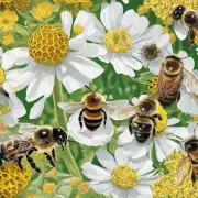 蜜蜂如何确定食物来源并建立起与食物源之间的联系?