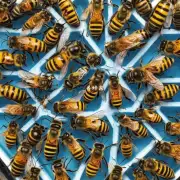 水量过多时对蜜蜂有什么影响?