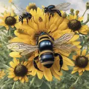 如果没有蜜蜂飞来采花花朵会怎么样?
