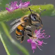蜜蜂萤火虫的生存环境对它们进行生殖有何影响?