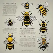 你是否知道有其他方法可以让蜜蜂更容易理解你的指令呢?
