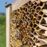 话题如果蜜蜂在采蜜时遇到障碍物例如墙壁或其他物体阻挡了它们的路径它们会怎样改变策略?