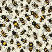 如何才能找到蜜蜂的活动范围?