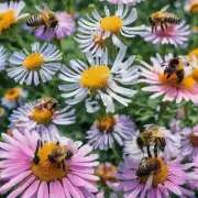 蜂场中有哪些特殊的结构可以帮助蜜蜂生存?