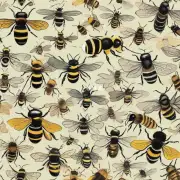 中国哪些省有野生蜜蜂的?