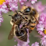 动森蜜蜂的种类有哪些?