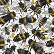 黑衣服招蜜蜂的原理是什么?