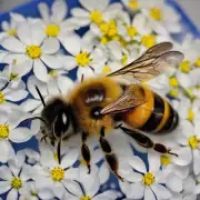 被蜜蜂蛰后可以用食醋涂抹吗?