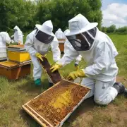 护脾这个概念在养蜂过程中有何重要性?