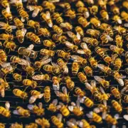 蜜蜂可以在什么情况下停止采花粉?