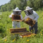 怎样才能获得养蜂许可证?