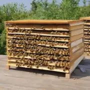 蜂巢的建设有什么特点与变化吗?