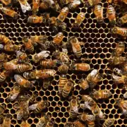 在蜂窝中生活的蜜蜂幼虫需要学会适应环境的变化包括温度和湿度它们通过调整自身的生理过程来应对这些变化从而保证能够快速成长并得到充分的食物保护因此问题8蜜蜂幼虫是如何适应蜂窝中的生活条件的?