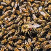你能描述一下蜜蜂是如何适应垃圾堆里的环境吗?