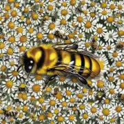 哪些因素会影响蜜蜂的授粉效率和产量?
