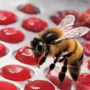 蜜蜂和红糖的搭配有哪些好处?