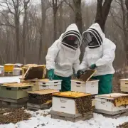 养蜂人需要特别注意哪些方面来保证蜜蜂在冬季不会生病呢?