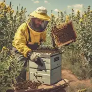 如果你是一位初次尝试养殖蜜蜂的人士你对购买蜂箱和蜜蜂应该有哪些方面的准备工作呢?