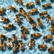 为什么水对蜜蜂来说非常重要?