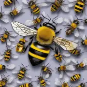 蜜蜂热坏对人类健康有何影响?