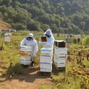 问题描述在蜂蜜养殖中为什么需要保持合适的温度以保证蜜蜂的正常产卵过程?