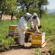 农村地区的养蜂产业是什么样的?