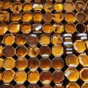 现在市场上有很多种蜂蜜您认为哪种蜂蜜最好吃呢?