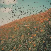 如果有蜜蜂它们通常会飞到哪里?