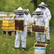 你想要了解更多关于养蜂业的信息吗?