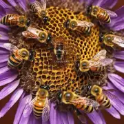 蜜蜂在采蜜过程中需要消耗多少能量?