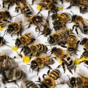 你认为导致蜜蜂中毒死亡的原因可能有多种吗?