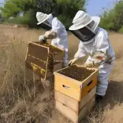中国养蜂人如何看待非洲草原蜜蜂的威胁?