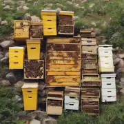 养蜂所需食物品种丰富吗?