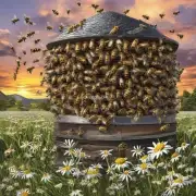 蜜蜂女王在什么情况下会离开蜂巢?