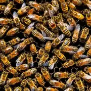 如何评估养蜂的成功或失败?